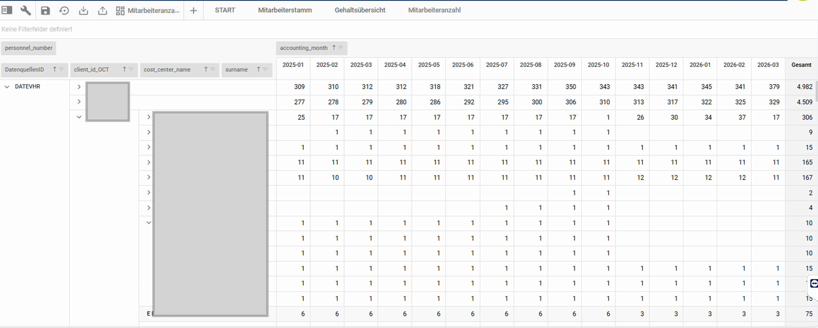 Mitarbeiteranzahl pro Monat, Mandant und Profitcenter.png